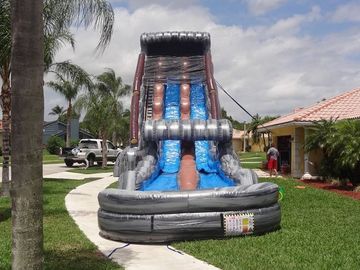 ملاهي ترفيهية 30 FT 2 Lane Inflatable Water Slides Custom PVC Waterproof