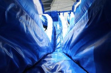 الأزرق 22 أقدام دولفين مزدوج ماء كالي المحيط نفخ المياه الشرائح مع مادة PVC القماش المشمع