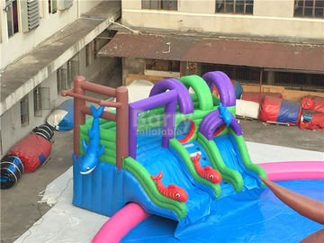 الحديقة العملاقة للنفخ في الهواء الطلق ، مخصص للأطفال المياه الأخطبوط الشرائح