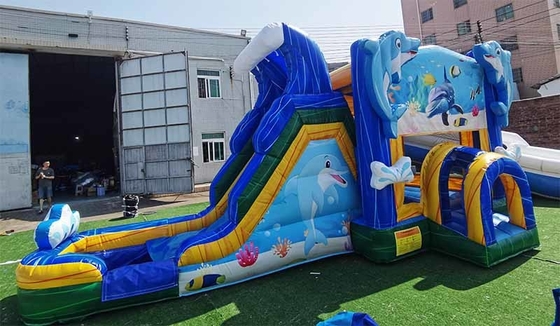 منزل طائرات الدولفين المعدة خصيصاً مع شرائح تحت الماء القصر القفز للأطفال