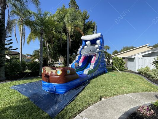 سمك القرش سمك الحديقة المائية المضغوطة من البوليفيك حمام سباحة مع حمام سباحة مائية للمراهقين