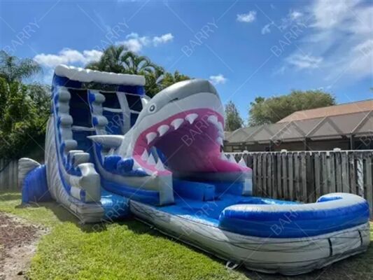 Indoor Outdoor Castillo Inflable Bouncer Shark Theme Slide With Pool Inflatable Water Double Slides For Kids