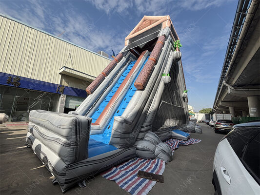 زحليقة مائية عملاقة قابلة للنفخ تجارية، زحليقة مزدوجة المسار ذات طابع استوائي رطب/جاف للمتنزهات والمهرجانات