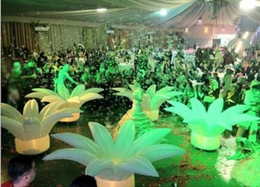رائع بقيادة أضواء عباد الشمس للزواج اقتراح رومانسية