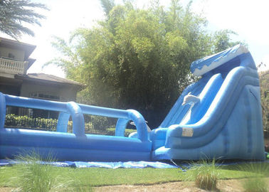 21FT طويل القامة في الهواء الطلق نفخ الشرائح و 32FT طويلة زلة الشريحة N نفخ / موجة مع بركة